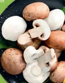 Hofer Hofer Marktplatz Champignons Angebot