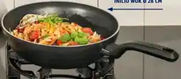 Hofer Tefal Inicio Wokpfanne Angebot
