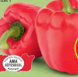 Hofer Hofer Marktplatz Paprika Angebot