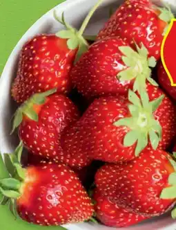 Hofer Hofer Marktplatz Erdbeeren Angebot