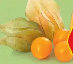 Hofer Hofer Marktplatz Physalis Angebot