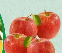 Spar Evelina Äpfel Angebot