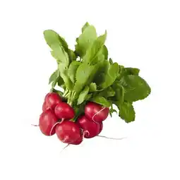 Billa Bio-Radieschen BILLA Angebot