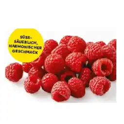 Billa Himbeeren, BILLA Angebot