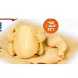 Billa Hendl-Kombipack BILLA Angebot