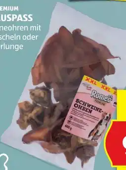 Hofer Romeo Premium XXL Kauspass Angebot