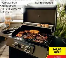 Hofer Enders Elektrogrill eCrave 2 Angebot