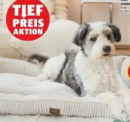 Hofer Romeo Hundebett Angebot