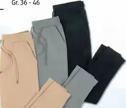 Hofer Up 2 Fashion Damen Joggpants Angebot