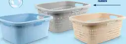 Hofer Home Creation Wäschekorb Angebot