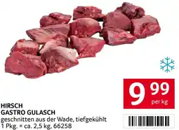 Transgourmet Hirsch gastro gulasch Angebot