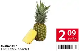 Transgourmet Ananas kl.1 Angebot