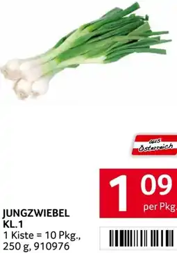 Transgourmet Jungzwiebel kl.1 Angebot