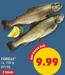 PENNY FORELLE Angebot