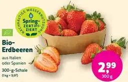 Denn's Biomarkt Bio-Erdbeeren Angebot