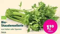 Denn's Biomarkt Bio-Staudensellerie Angebot
