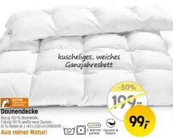 Reiter Daunendecke Angebot
