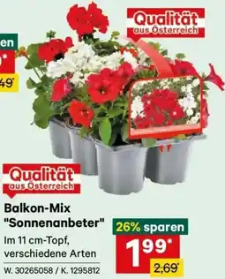 Lagerhaus Balkon-Mix Sonnenanbeter Angebot