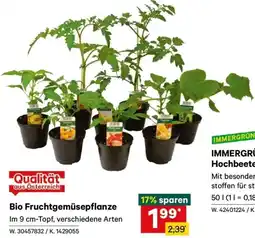 Lagerhaus Bio Fruchtgemüsepflanze Angebot
