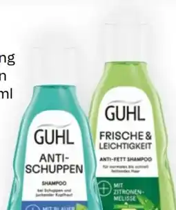 Bipa Guhl Shampoo Angebot