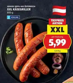 Hofer XXL KÄSEGRILLER Angebot