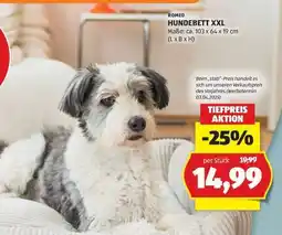 Hofer ROMEO HUNDEBETT XXL Angebot