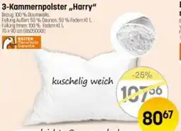Reiter 3-Kammernpolster Harry Angebot
