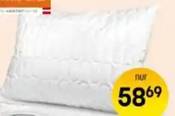 Reiter Bio-Polster Chipo Angebot