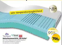 Reiter Kaltschaummatratze die Kühle Angebot