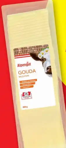 Lidl Alpengut Gouda Angebot