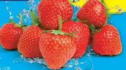 Lidl Erdbeeren Angebot