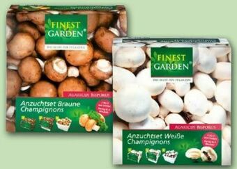 Norma Champignon Anzuchtset Angebot