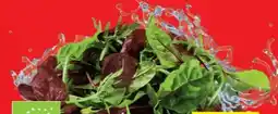 Lidl Bio-Salate Angebot
