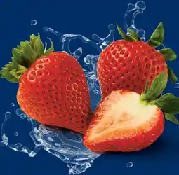 Lidl Erdbeeren Angebot