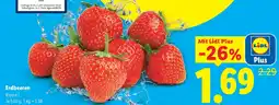 Lidl Erdbeeren Klasse I Angebot