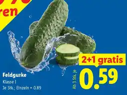 Lidl Feldgurke Klasse I Angebot