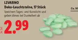 Lidl Livarno Deko-Leuchtsteine Angebot