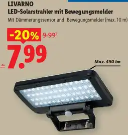 Lidl Livarno LED-Solarstrahler mit Bewegungsmelder Angebot