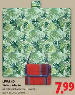 Lidl Livarno picknickdecke Angebot