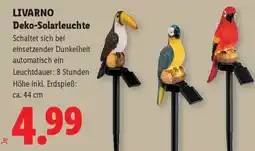 Lidl Livarno Deko-Solarleuchte Angebot