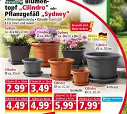 Norma Blumentopf „Cilindro“ Angebot