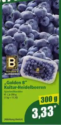 Norma Golden B Kultur-Heidelbeeren Angebot