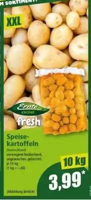 Norma Speisekartoffeln Angebot