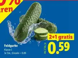 Lidl Feldgurke Angebot