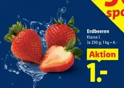 Lidl Erdbeeren Angebot