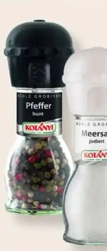 MPreis Kotányi Gewürzmühlen Angebot