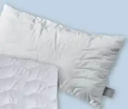 PENNY Kopfkissen Angebot