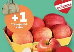 PENNY Apfeltasse Evelina Angebot