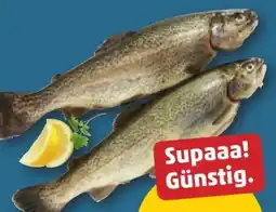 PENNY Forelle Angebot