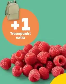 PENNY Himbeeren Angebot